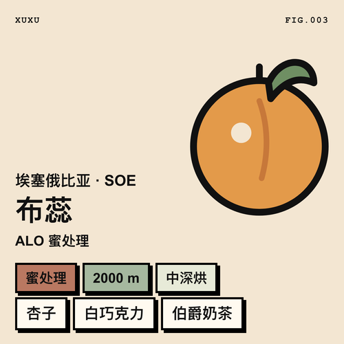 布蕊