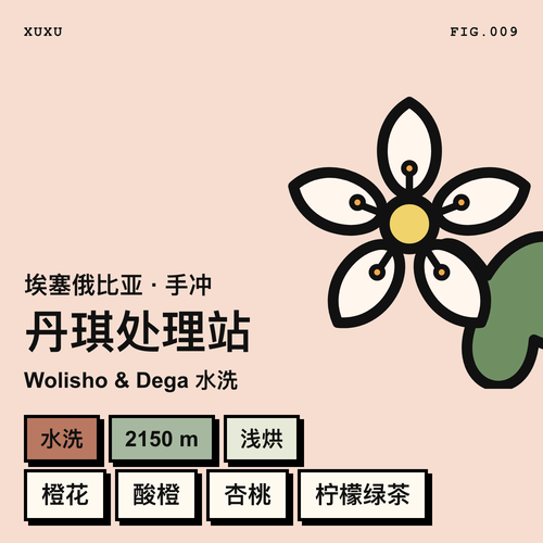 丹琪处理站